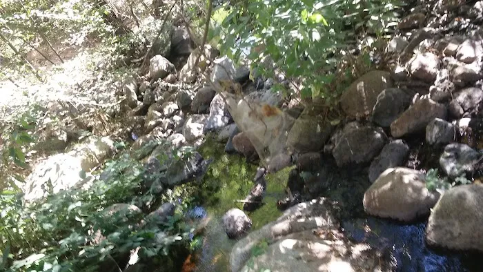 Alder Creek Campground Picture 3