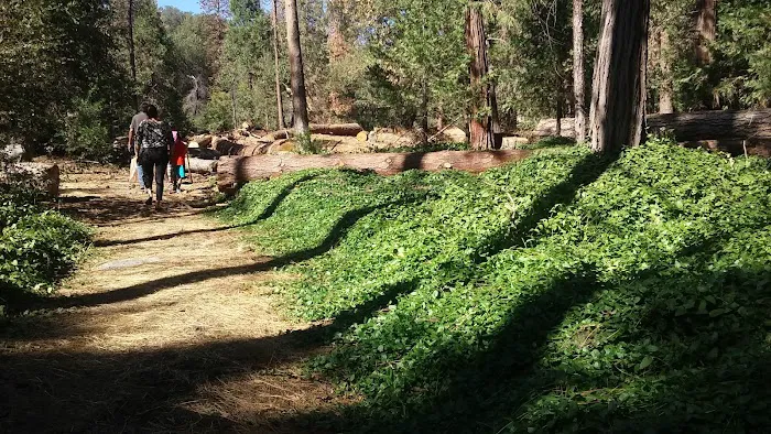 Alder Creek Campground Picture 1