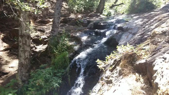 Alder Creek Campground Picture 2