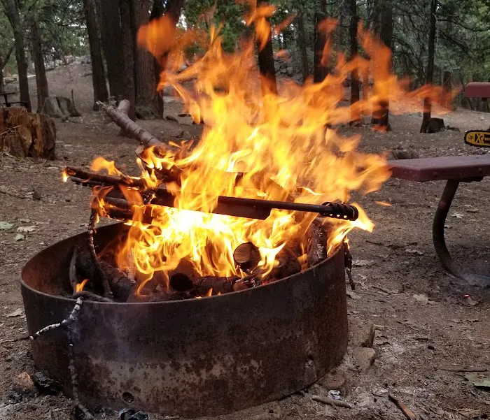 Shirley Meadows Campground Picture 5