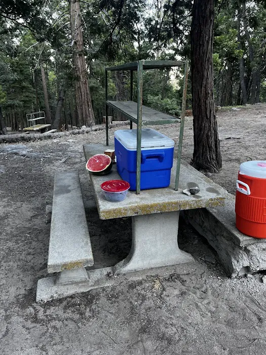 Shirley Meadows Campground Picture 3