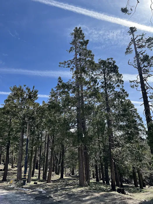 Greenhorn Mountain Park Picture 5