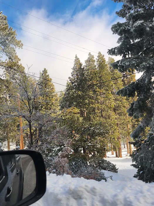 Greenhorn Mountain Park Picture 4