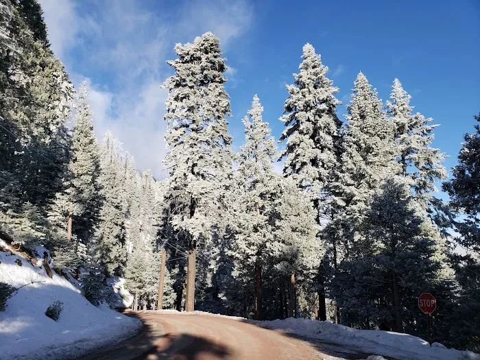 Greenhorn Mountain Park Picture 8