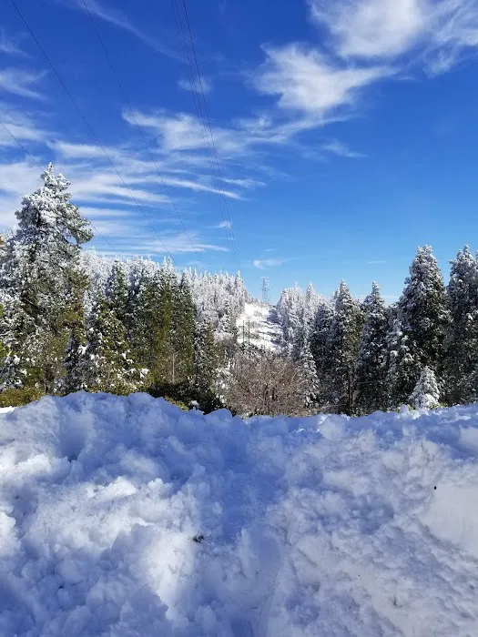 Greenhorn Mountain Park Picture 9