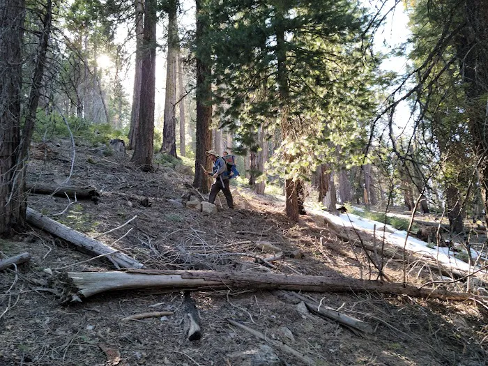 Greenhorn Mountain Park Picture 1