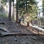 Greenhorn Mountain Park