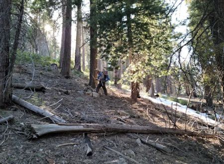 Greenhorn Mountain Park