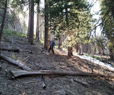 Greenhorn Mountain Park