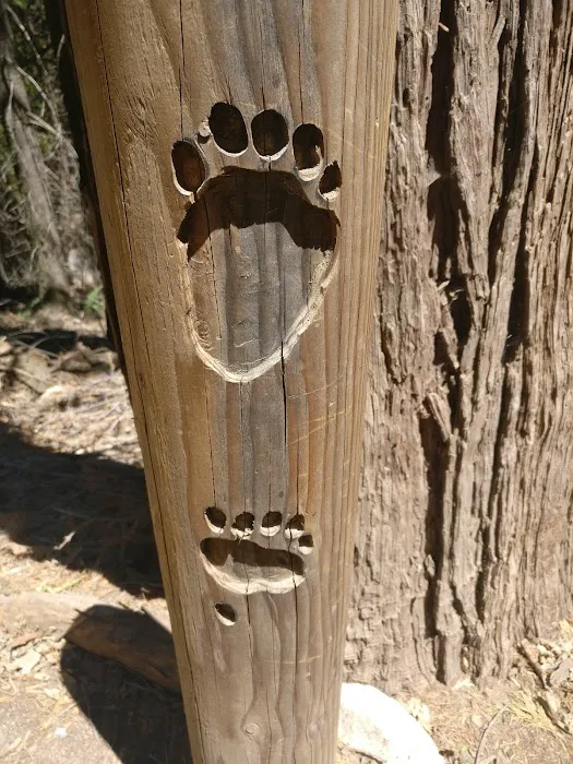 Greenhorn Mountain Park Picture 7