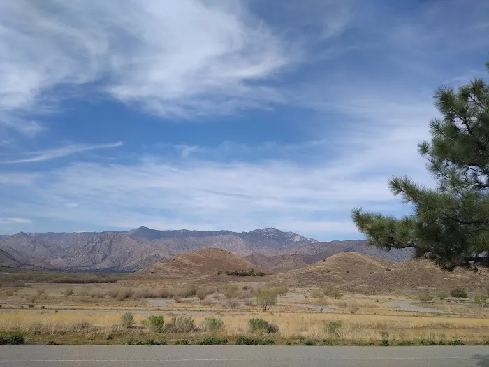 Camp 9 Picture 10