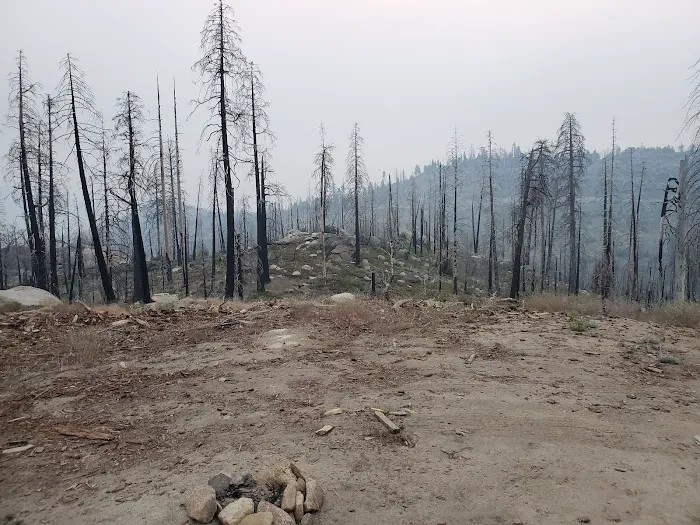 Tiger Flat Campground Picture 1