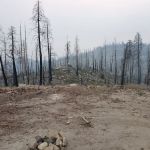 Tiger Flat Campground