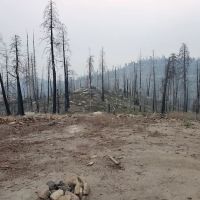 Tiger Flat Campground ico