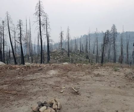 Tiger Flat Campground