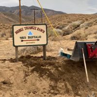 Double Triangle Ranch ico