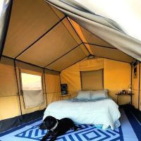 Diamond Acres Camp ico