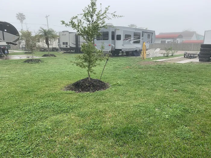Green Parrot RV Park Picture 2