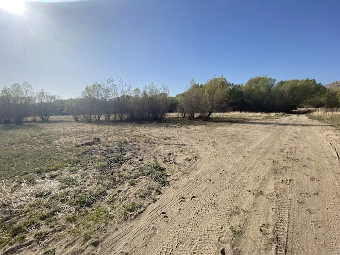 Hanning Flat Dispersed Area Picture 2
