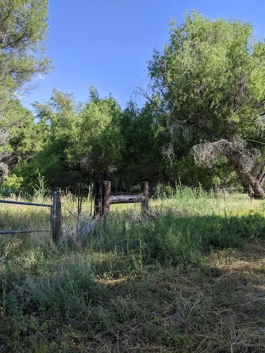 Hanning Flat Dispersed Area Picture 10