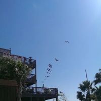 Captains Quarters ico