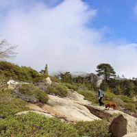Shady Cove Group Campground ico