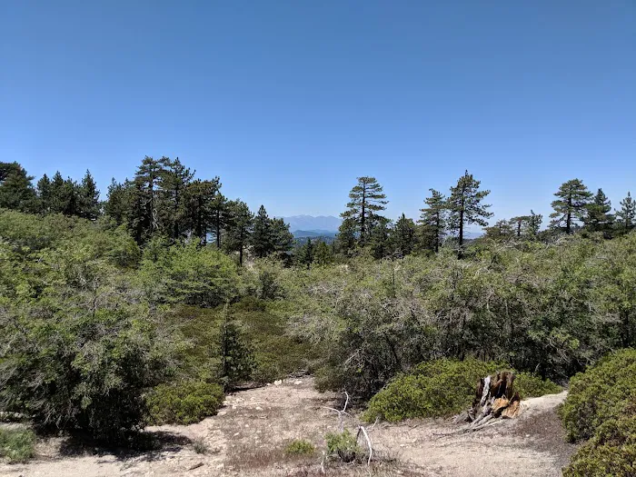 Shady Cove Group Campground Picture 3