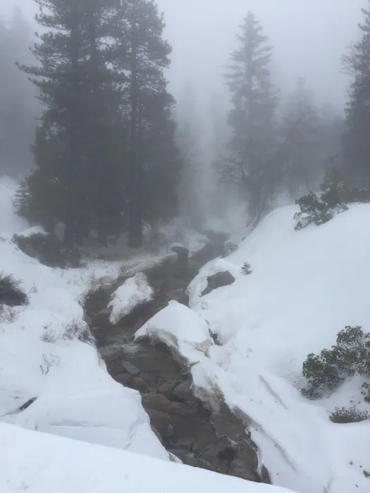 Keller Peak Yellow Post Sites Picture 1