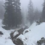 Keller Peak Yellow Post Sites