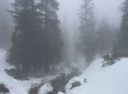 Keller Peak Yellow Post Sites