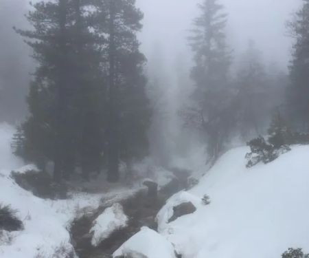 Keller Peak Yellow Post Sites