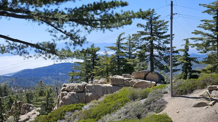 Keller Peak Yellow Post Site #9 Picture 9
