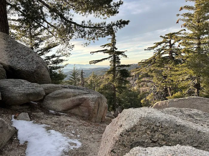 Keller Peak Yellow Post Site #9 Picture 6