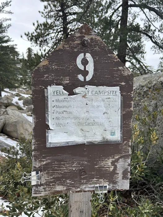 Keller Peak Yellow Post Site #9 Picture 5