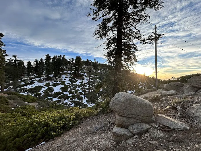 Keller Peak Yellow Post Site #9 Picture 2