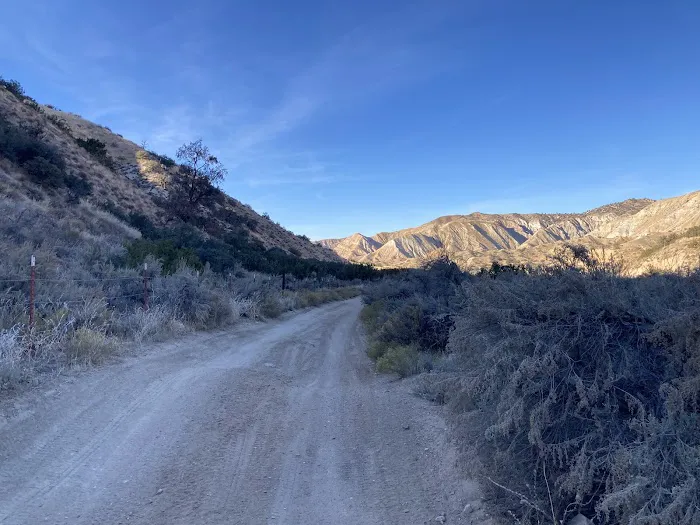 Ballinger Campground Picture 6