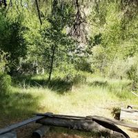 Cottonwood Camp ico