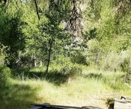 Cottonwood Camp