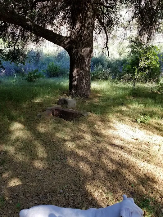Cottonwood Camp Picture 2