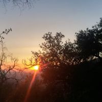 Little Pine Spring Camp ico