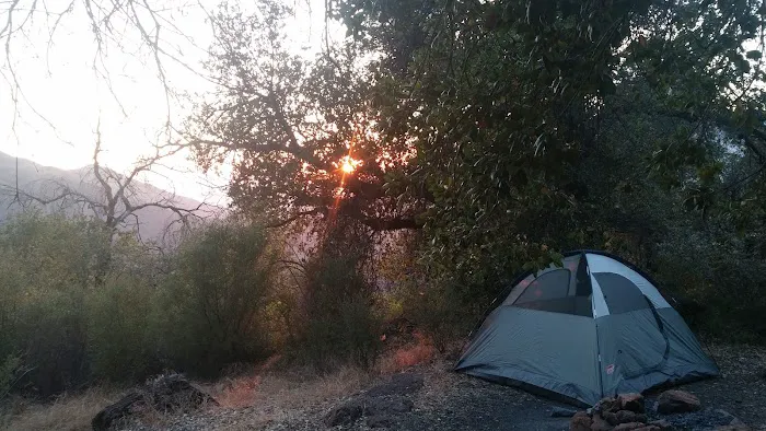 Little Pine Spring Camp Picture 2