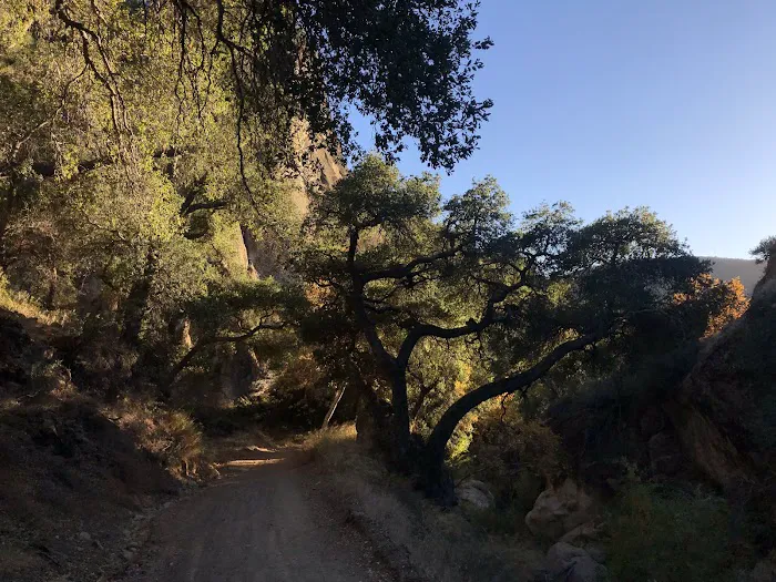 Upper Oso Campground Picture 10