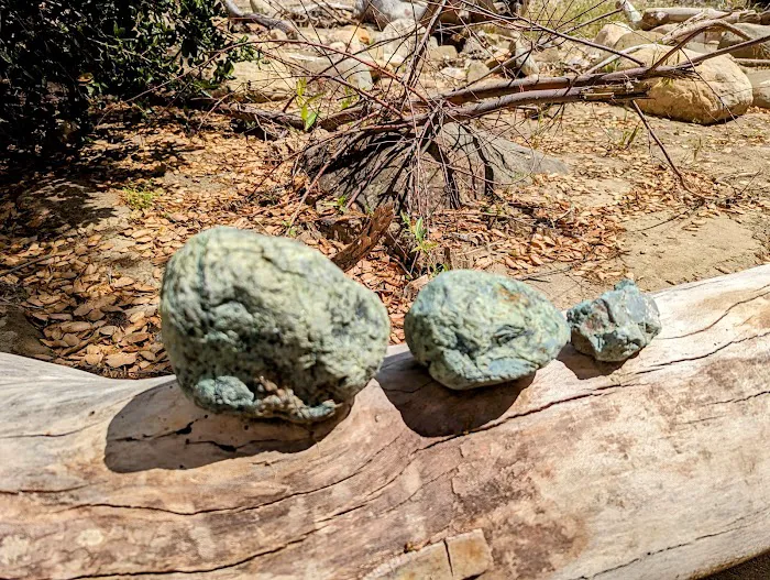 Upper Oso Campground Picture 5
