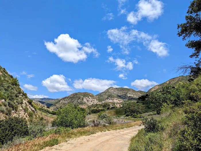 Upper Oso Campground Picture 2