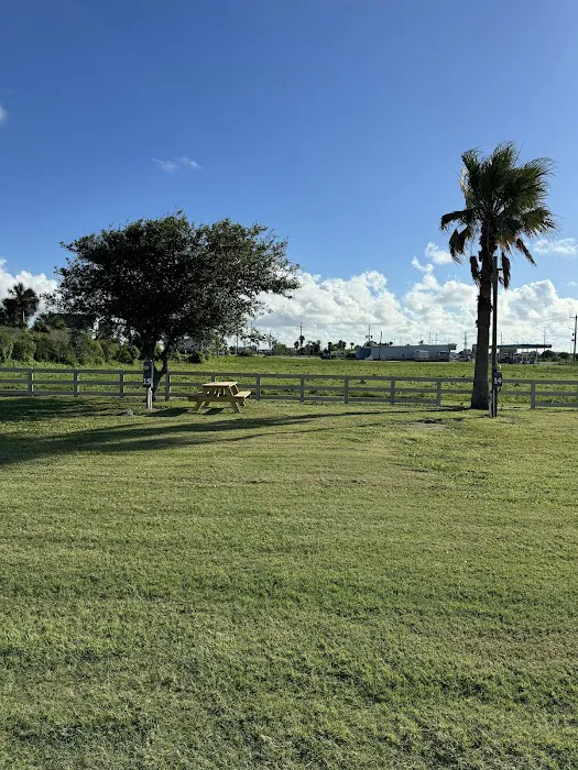 Sandollar RV Park Picture 7