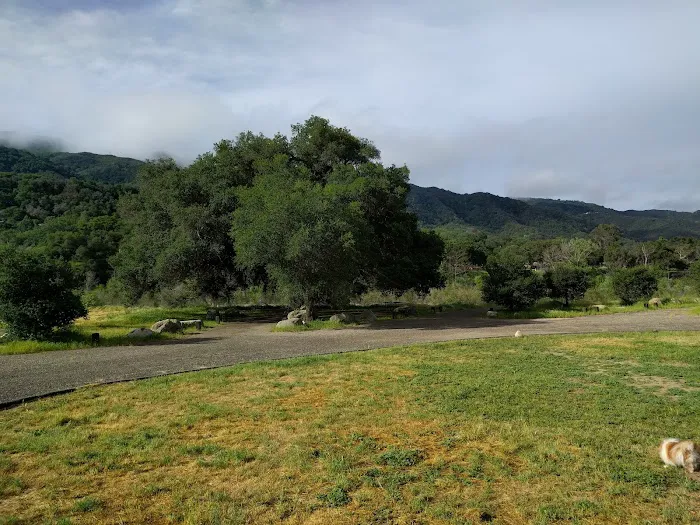 Sage Hill Campground Picture 9