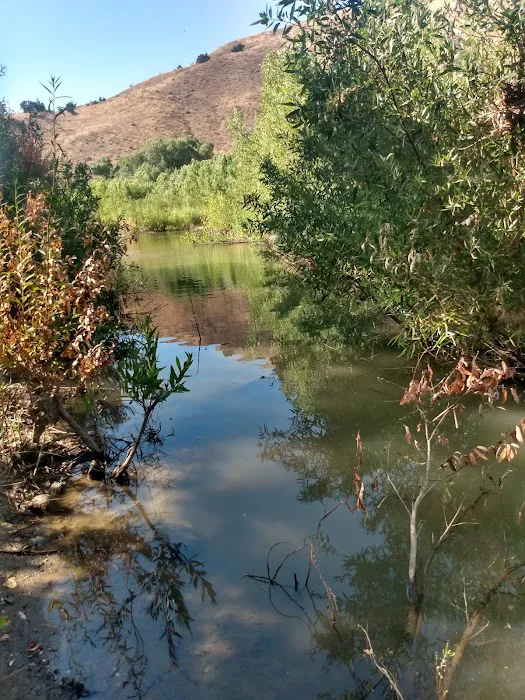 Los Prietos Campground Picture 8