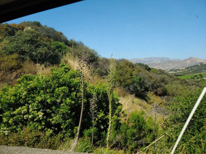 Los Prietos Campground Picture 3