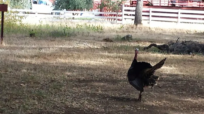 Fremont Campground Picture 6