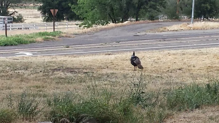 Fremont Campground Picture 9